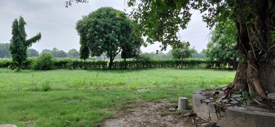 Agricultural Field, BHU