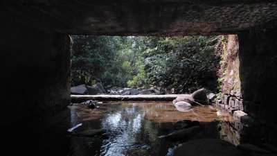 Mala, Karkala