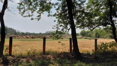 Salkhan Fossils Park, Sonbhadra