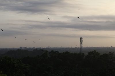 Puliyarkonam, Thiruvananthapuram