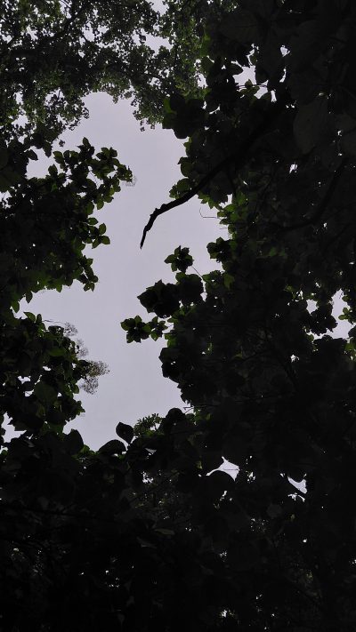 Madhuban Park, BHU