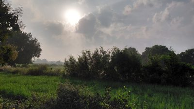 Agricultural Field, BHU